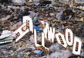 hollywooddestruido.jpg
